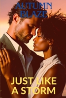 Just Like A Storm B0D9WH9FHW Book Cover