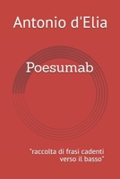 Poesumab: raccolta di frasi cadenti verso il basso B08RRMS5LS Book Cover