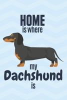 Home is where my Dachshund is: For Dachshund Dog Fans 1651762368 Book Cover