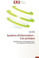 Systa]me D'Information - Cas Pratique 3841786103 Book Cover