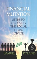 FINANCIAL MUTATION: STEPS TO CROSSING THE SOCIAL CLASS DIVIDE null Book Cover