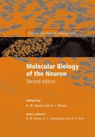 Molecular Biology of the Neuron (Molecular and Cellular Neurobiology) 0198509979 Book Cover