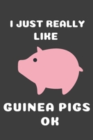 I Just Really Like Guinea Pigs Ok: Cute Guinea Pig Gift Journal Blank Lined Notebook (6x9), 120 Pages 1710190876 Book Cover