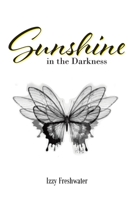 Sunshine In The Darkness B0CM7YW1JB Book Cover