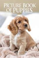 Picture Book of Puppies: Heartwarming Canine Companions for Seniors with Memory Loss Large, Clear Images Dementia-Friendly Photo Album B0DQ8BXYN1 Book Cover