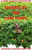 THE BIBLE INVESTIGATES JUDAISM: A Study From The Bible's Old And New Testaments (WORLD RELIGIONS' BELIEFS) 1737339935 Book Cover