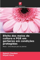 Efeito dos meios de cultura e PGR em gerberas em condições protegidas (Portuguese Edition) 6208932874 Book Cover
