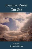 BRINGING DOWN THE SKY 1635348625 Book Cover