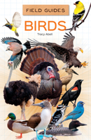 Birds (Field Guides for Kids) 1532193041 Book Cover