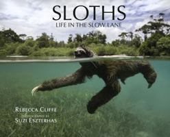 Sloths: Life in the Slow Lane 0692864369 Book Cover