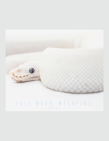 Holy Moon 1329044622 Book Cover