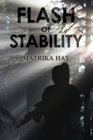 Flash of Stability 1835430104 Book Cover