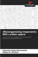 (Re)organizing Imperatriz-MA's urban space 6206216608 Book Cover