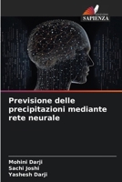 Previsione delle precipitazioni mediante rete neurale (Italian Edition) 6208271428 Book Cover
