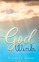 God Winks 1648047874 Book Cover