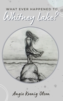 What Ever Happened To Whitney Lake? B09ZCYBCF9 Book Cover
