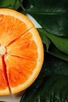 Recipe Journal: Recipe Journal - 6x9 - 120 Lined pages - Recipe Recording Notebook - Matte Cover 1671560906 Book Cover