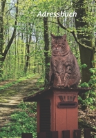Adressbuch: Buch für Telefonnummern, E-Mails, Geburtstage, Jahrestage und wichtige Informationen mit einer Katze auf einem Briefkasten (Katzen) (German Edition) 1659815843 Book Cover