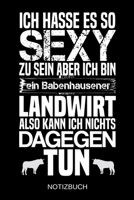 Ich hasse es so sexy zu sein aber ich bin ein Babenhausener Landwirt also kann ich nichts dagegen tun: A5 Notizbuch Liniert 120 Seiten Geschenk/Geschenkidee zum Geburtstag Weihnachten Ostern Vatertag  1704233984 Book Cover