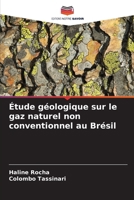 Étude géologique sur le gaz naturel non conventionnel au Brésil (French Edition) 6208371805 Book Cover