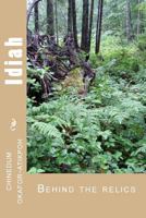 Idiah Behind the Relics 1490543066 Book Cover