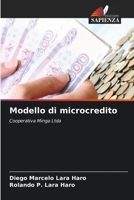 Modello di microcredito (Italian Edition) 6206502031 Book Cover