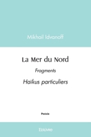 La Mer du Nord (French Edition) 2414570709 Book Cover