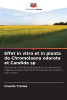 Effet in vitro et in planta de Chromolaena odorata et Candida sp (French Edition) 6208368421 Book Cover