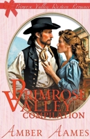 Primrose Valley Compilation B0CN8ZNDC9 Book Cover
