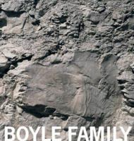 Boyle Family 1903278430 Book Cover