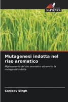 Mutagenesi indotta nel riso aromatico: Miglioramento del riso aromatico attraverso la mutagenesi indotta 6205940345 Book Cover