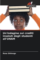 Un'indagine sui crediti insoluti degli studenti all'UNAM (Italian Edition) 6208019036 Book Cover