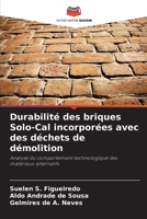 Durabilité des briques Solo-Cal incorporées avec des déchets de démolition (French Edition) 6209472613 Book Cover