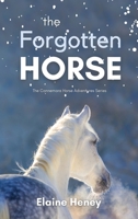 The Forgotten Horse - Book 1 in the Connemara Horse Adventure Series for Kids The Perfect Gift for Children 1915542448 Book Cover