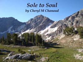 Sole to Soul 0615741517 Book Cover