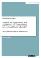 Sanktion des Jugendarrests. Der Jugendarrest aus Sicht straff�llig gewordener Heranwachsender: Eine exemplarische Analyse und Parxiskonsequenz 3668472432 Book Cover