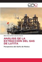 ANÁLISIS DE LA EXTRACCIÓN DEL GAS DE LUTITA: Perspectiva del Golfo de México 6202122676 Book Cover