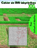 Cahier de 100 Labyrinthes XXl Pour Enfants et Adultes: Jeux de logique | Jeux de labyrinthes | 100 Jeux | Jeux de patience | Grand Format 20 cm x 28 cm | Pour enfants et adultes | (French Edition) B087RC7NFN Book Cover