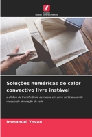 Soluções numéricas de calor convectivo livre instável: e efeitos de transferência de massa em cone vertical usando modelo de simulação de rede 620596791X Book Cover