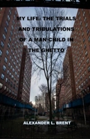 My Life: The Trials and Tribulations of a Man Child in the Ghetto 1733151508 Book Cover
