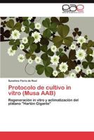 Protocolo de Cultivo in Vitro (Musa Aab) 3846562467 Book Cover