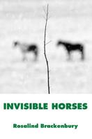 Invisible Horses 1934909564 Book Cover