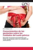 Conocimientos de las gestantes sobre los cuidados del suelo pélvico 6202114185 Book Cover