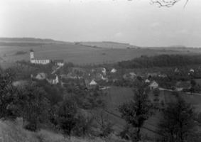 Bombs, Bees and Apple Trees 0615709109 Book Cover