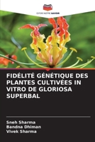 Fidélité Génétique Des Plantes Cultivées in Vitro de Gloriosa Superbal (French Edition) 6208379202 Book Cover