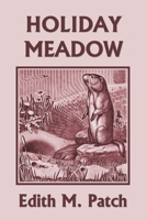 Holiday Meadow (Yesterday's Classics) 1633340481 Book Cover