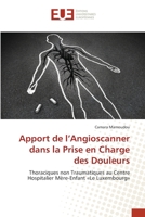 Apport de l'Angioscanner dans la Prise en Charge des Douleurs 6203414638 Book Cover