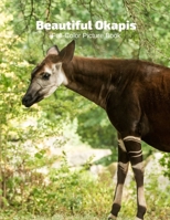 Beautiful Okapis Full-Color Picture Book: Mammals Photography - Zebra Giraffe Nature Animals B08R64MLHH Book Cover
