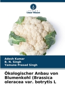 Ökologischer Anbau von Blumenkohl (Brassica oleracea var. botrytis L (German Edition) 6208096200 Book Cover