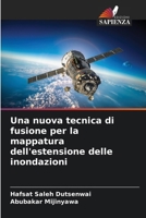Una nuova tecnica di fusione per la mappatura dell'estensione delle inondazioni (Italian Edition) 6208076692 Book Cover